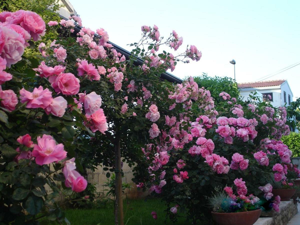 Villa Vrancic 로비니 외부 사진