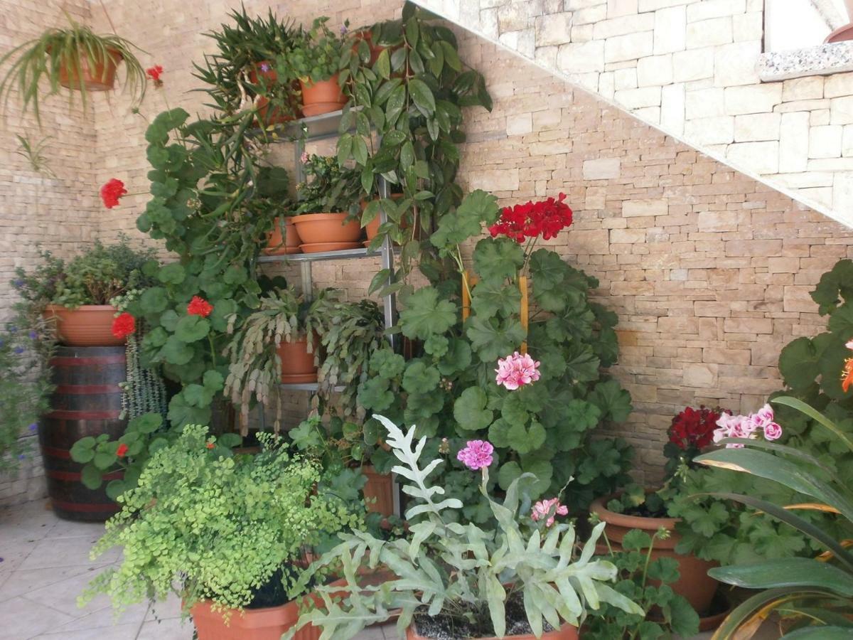 Villa Vrancic 로비니 외부 사진