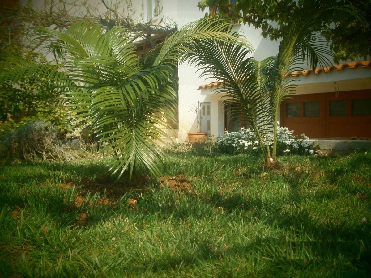 Villa Vrancic 로비니 외부 사진
