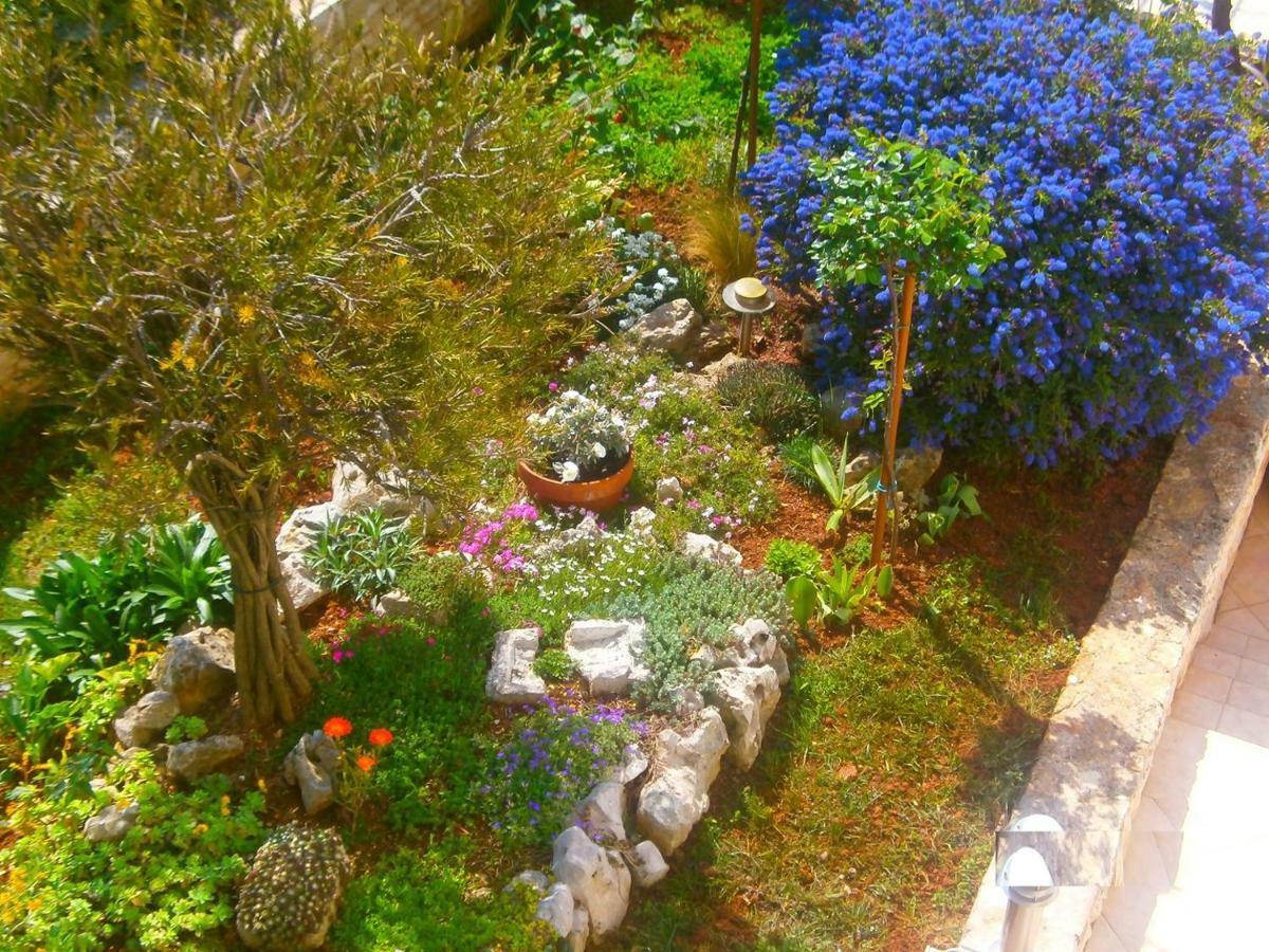 Villa Vrancic 로비니 외부 사진