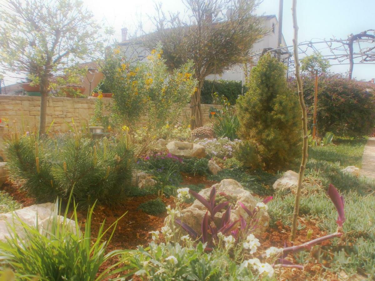 Villa Vrancic 로비니 외부 사진